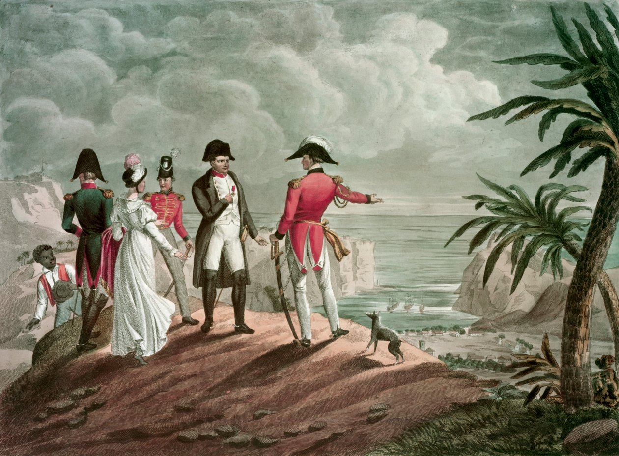 Bonaparte auf St. Helena (Stahlstich) von Francois Nicolas Martinet