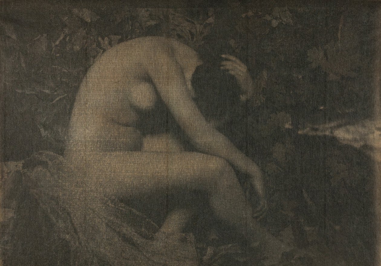 La Cigale von Frank Eugene