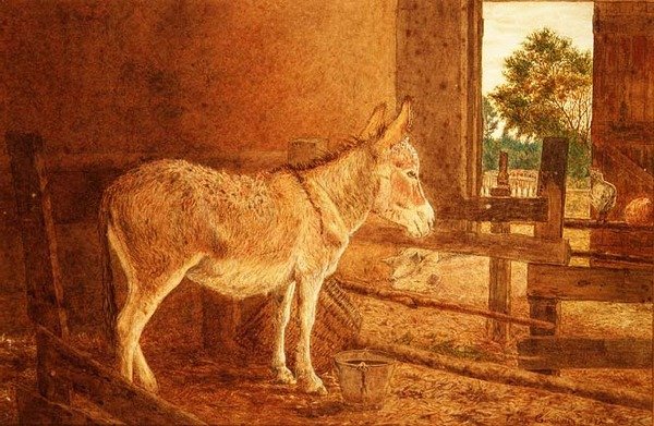 Ein tiefes Nachdenken von Frank Goodwin