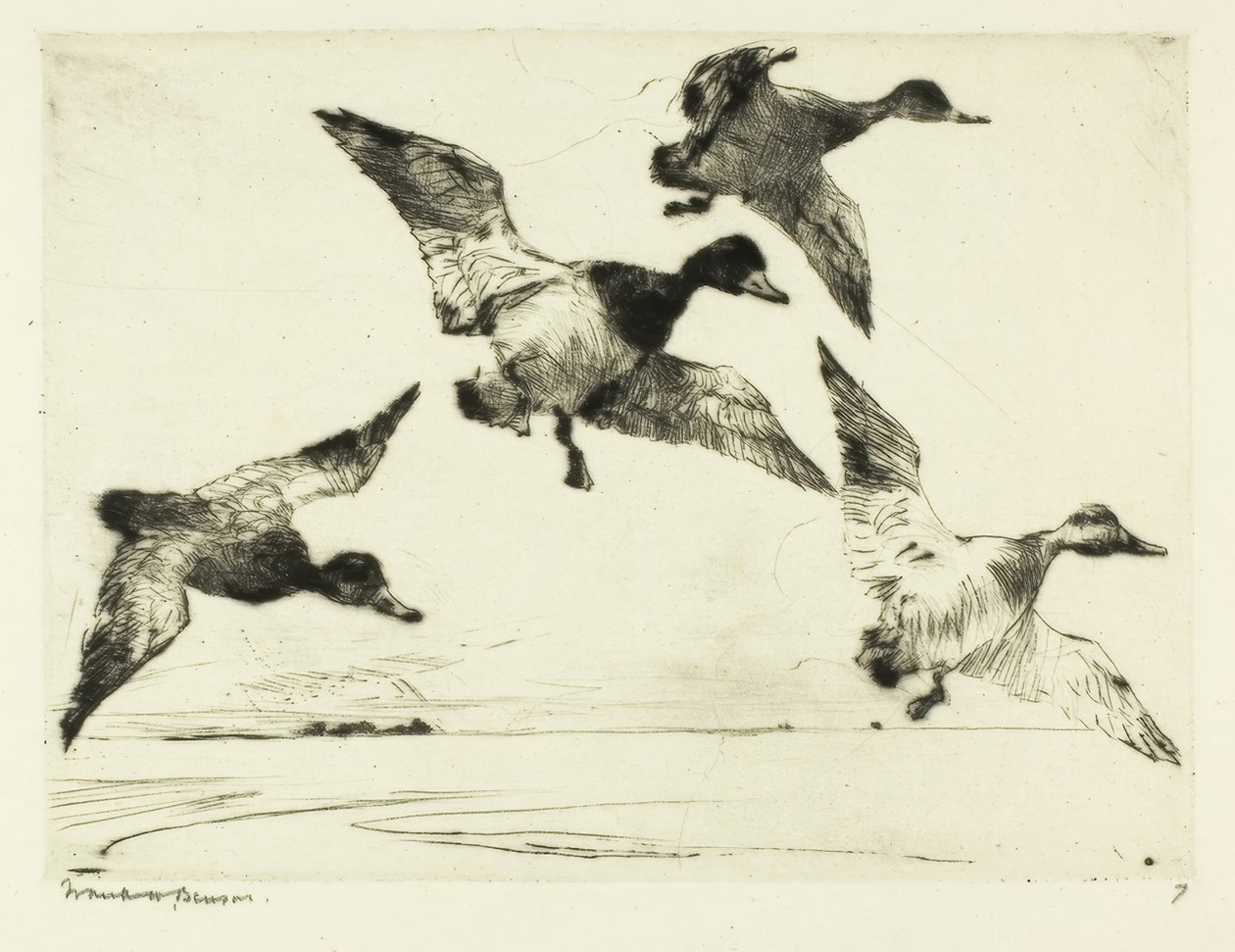 Rotkopfenten von Frank Weston Benson