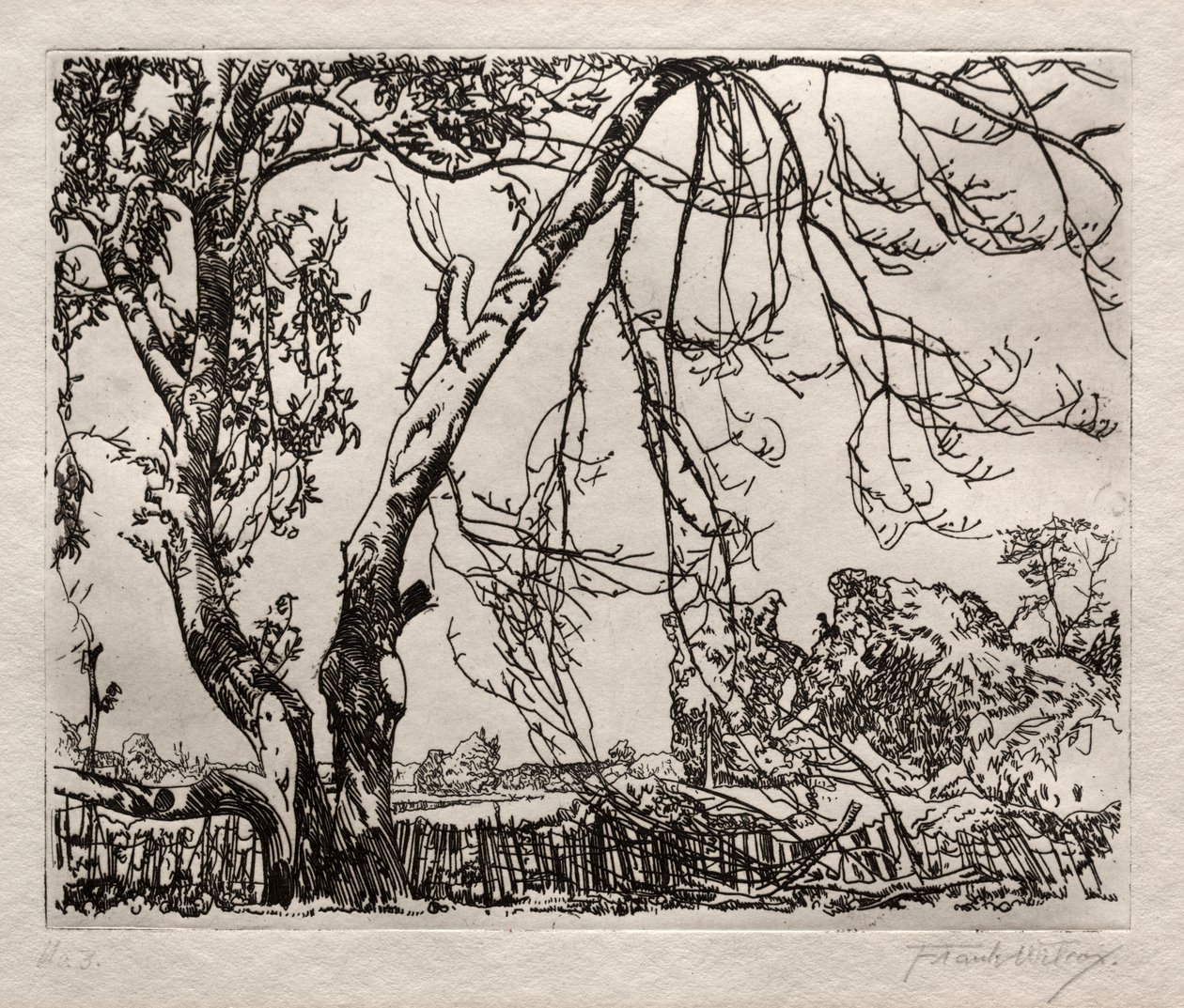 Apfelbaum von Frank Wilcox