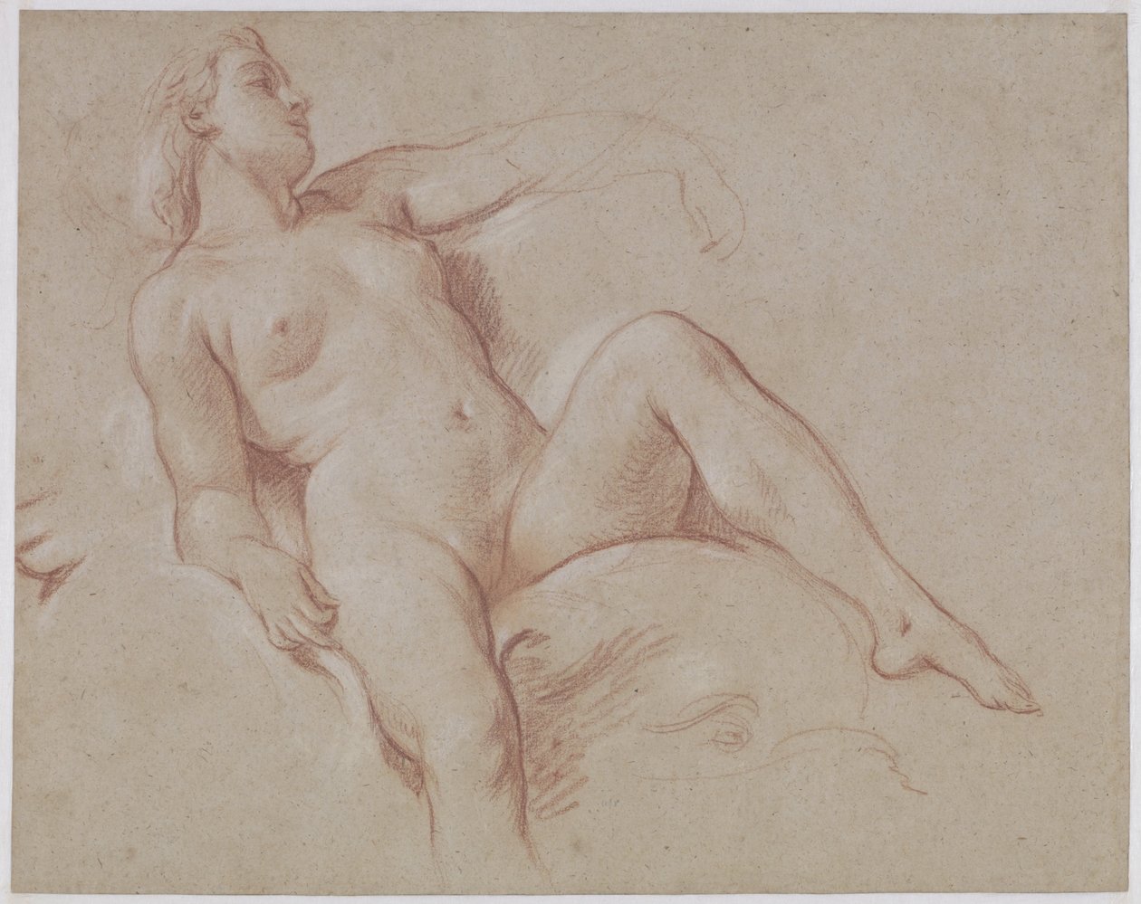Weiblicher Akt auf einem Delfin von François Boucher