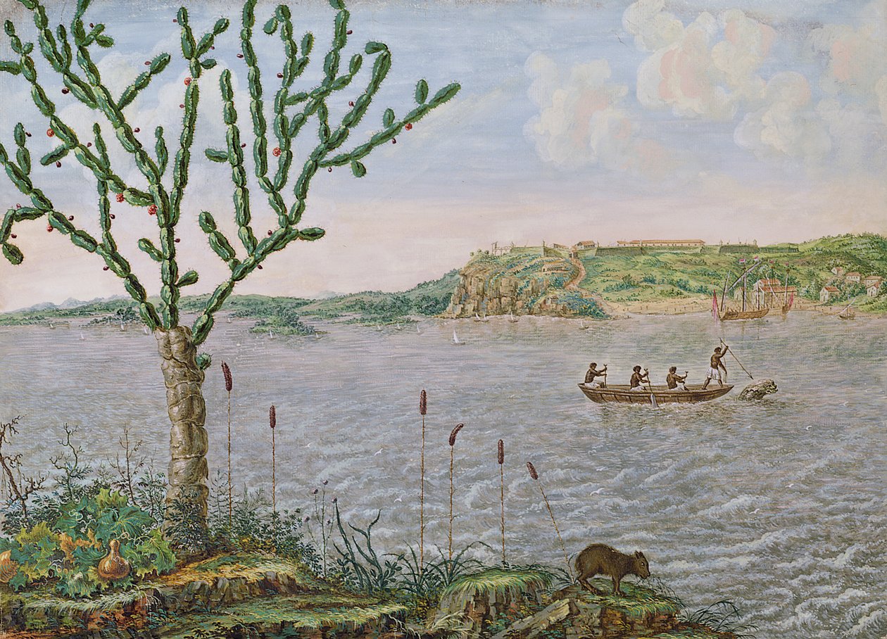 Ansicht von Fort Maurice am Rio San Francisco von Frans Post
