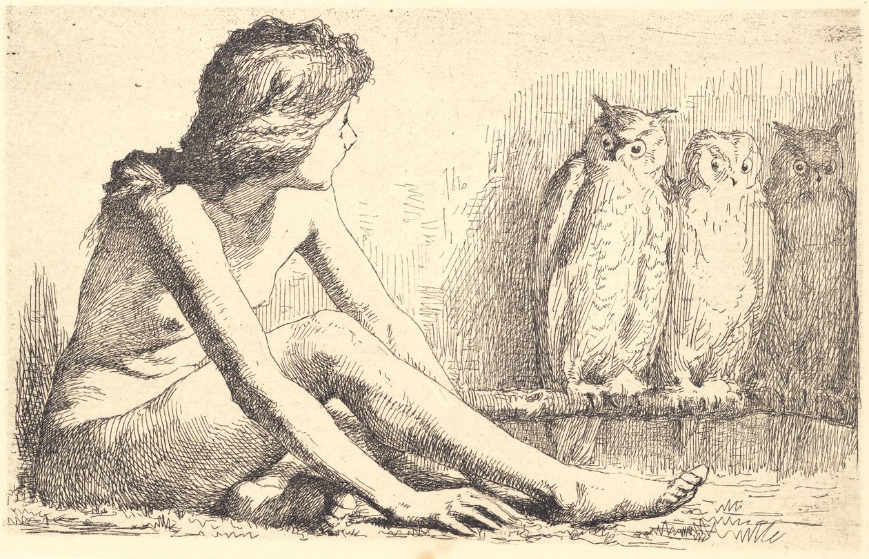 Das Mädchen mit den Eulen von Frans Schwartz