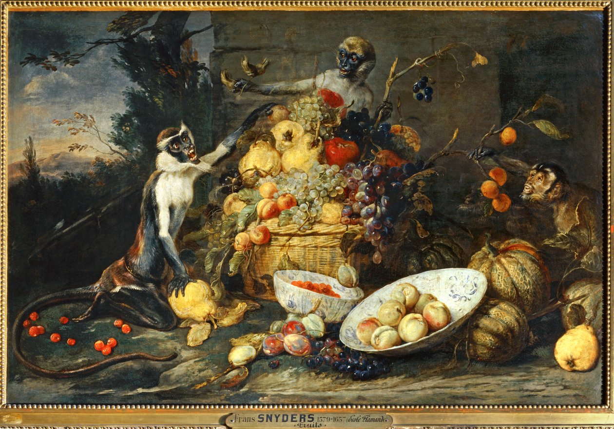 Drei Affen, die Früchte stehlen von Frans Snyders