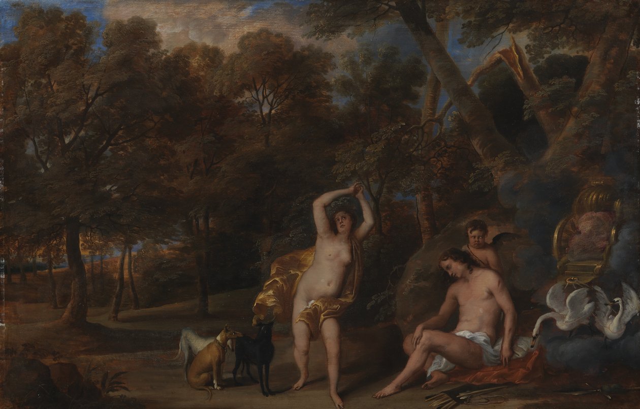 Venus beklagt den getöteten Adonis von Frans Wouters