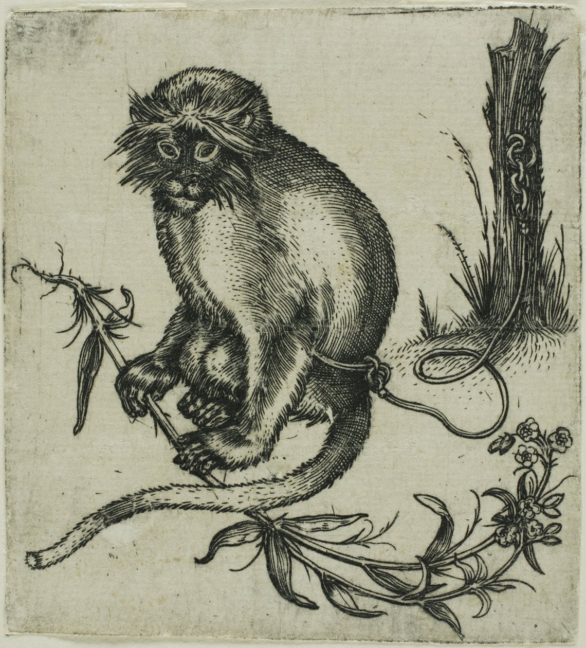 Ein angeketteter Affe von Franz Brun