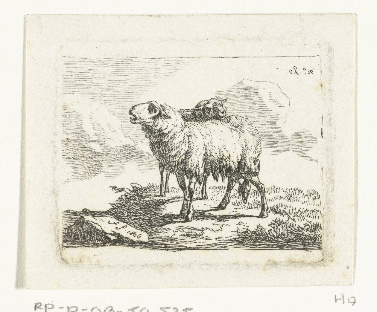 Zwei stehende Schafe von Frédéric Théodore Faber