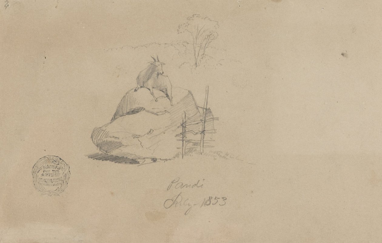 Eine Ziege in Pandi, Kolumbien von Frederic Edwin Church