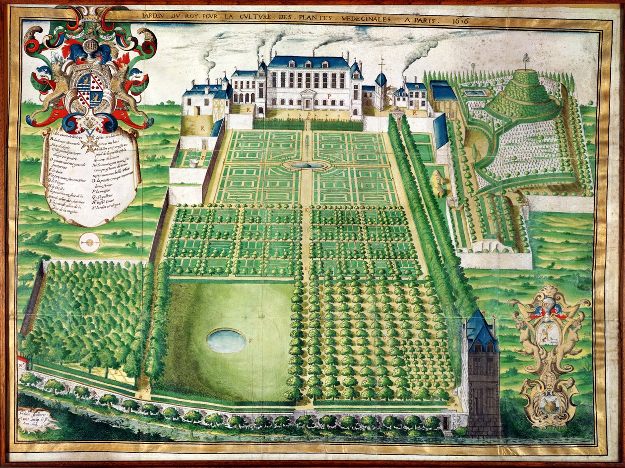 Der Königliche Heilpflanzengarten, 1636 von Frederic Scalberge