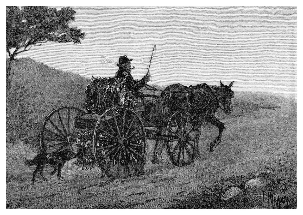 Ein Colac-Kaninchenfänger, 1886 von Frederic B. Schell