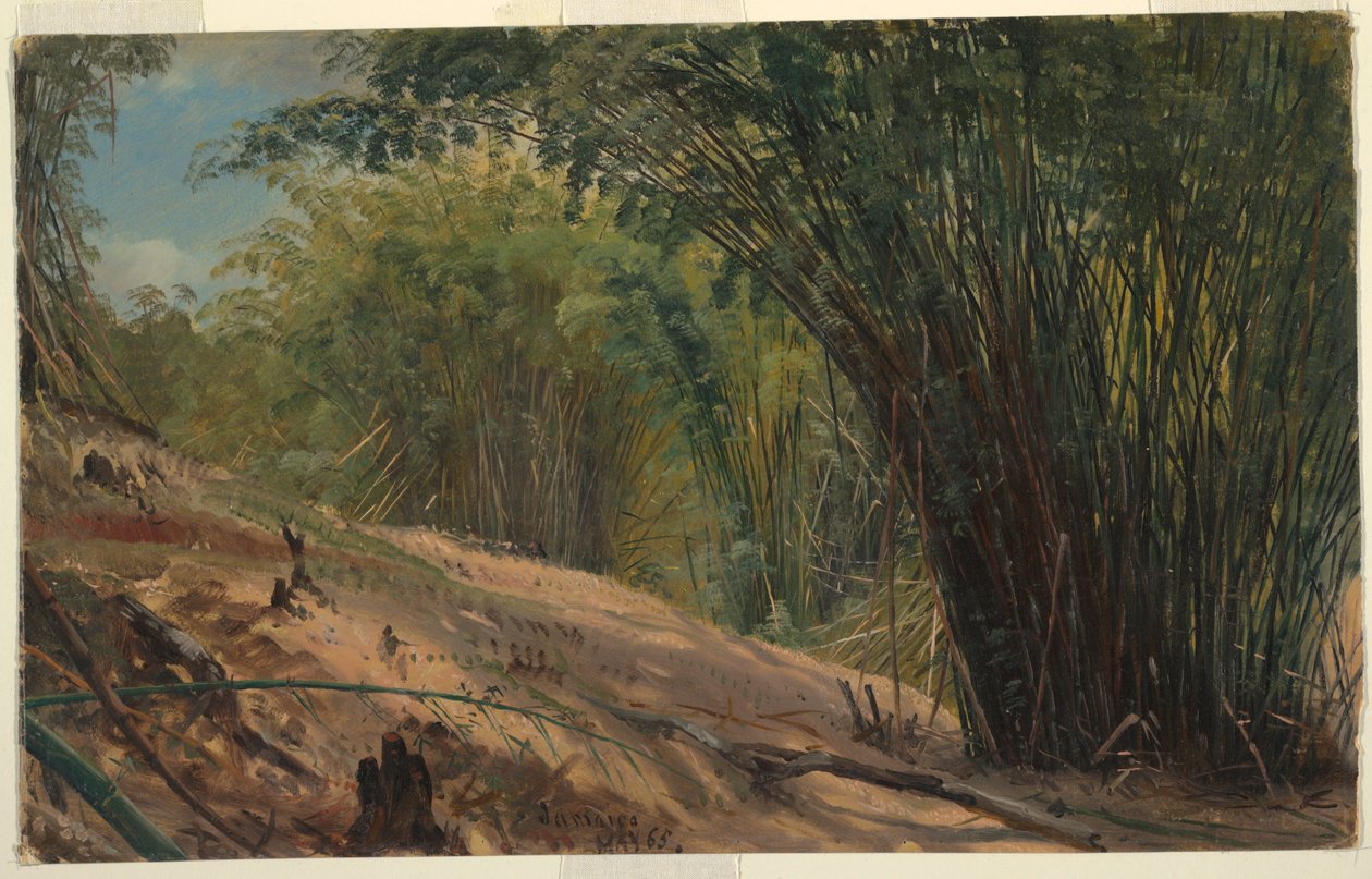 Bambushain, Jamaika von Frederic Edwin Church