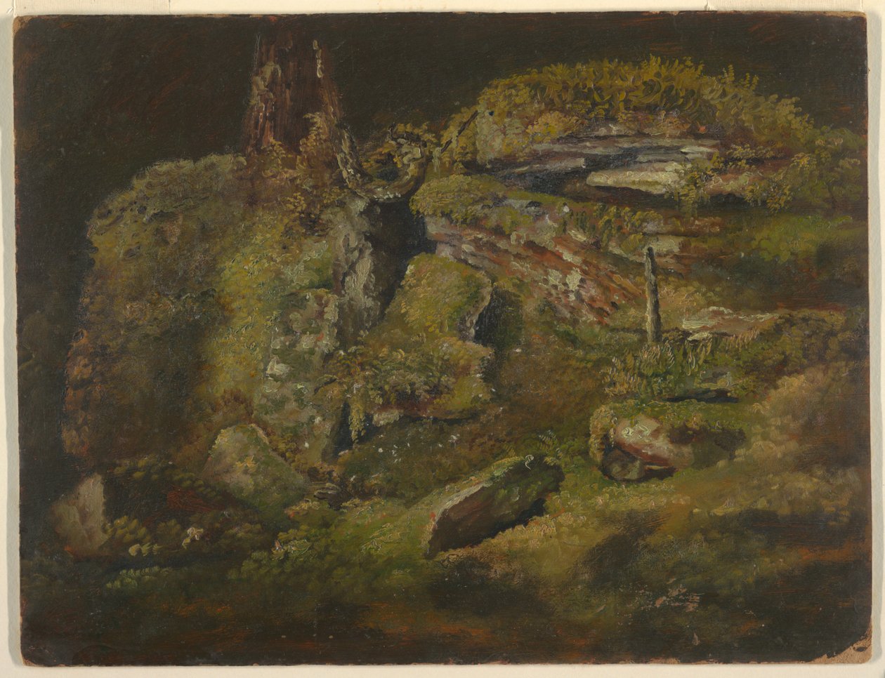 Fels im Wald von Frederic Edwin Church
