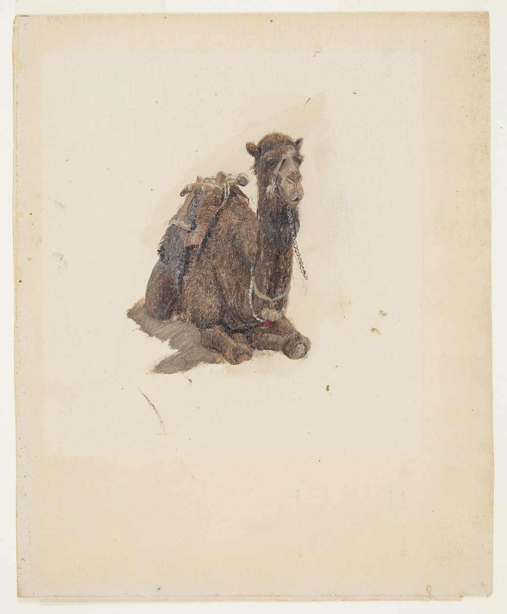 Zeichnung, Kauernder Dromedar, 1868 von Frederic Edwin Church