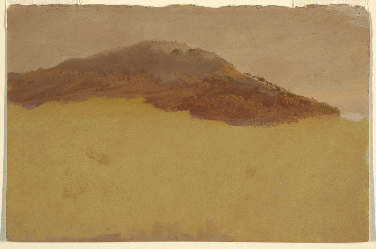 Bewaldeter Hang, 1870–80 von Frederic Edwin Church
