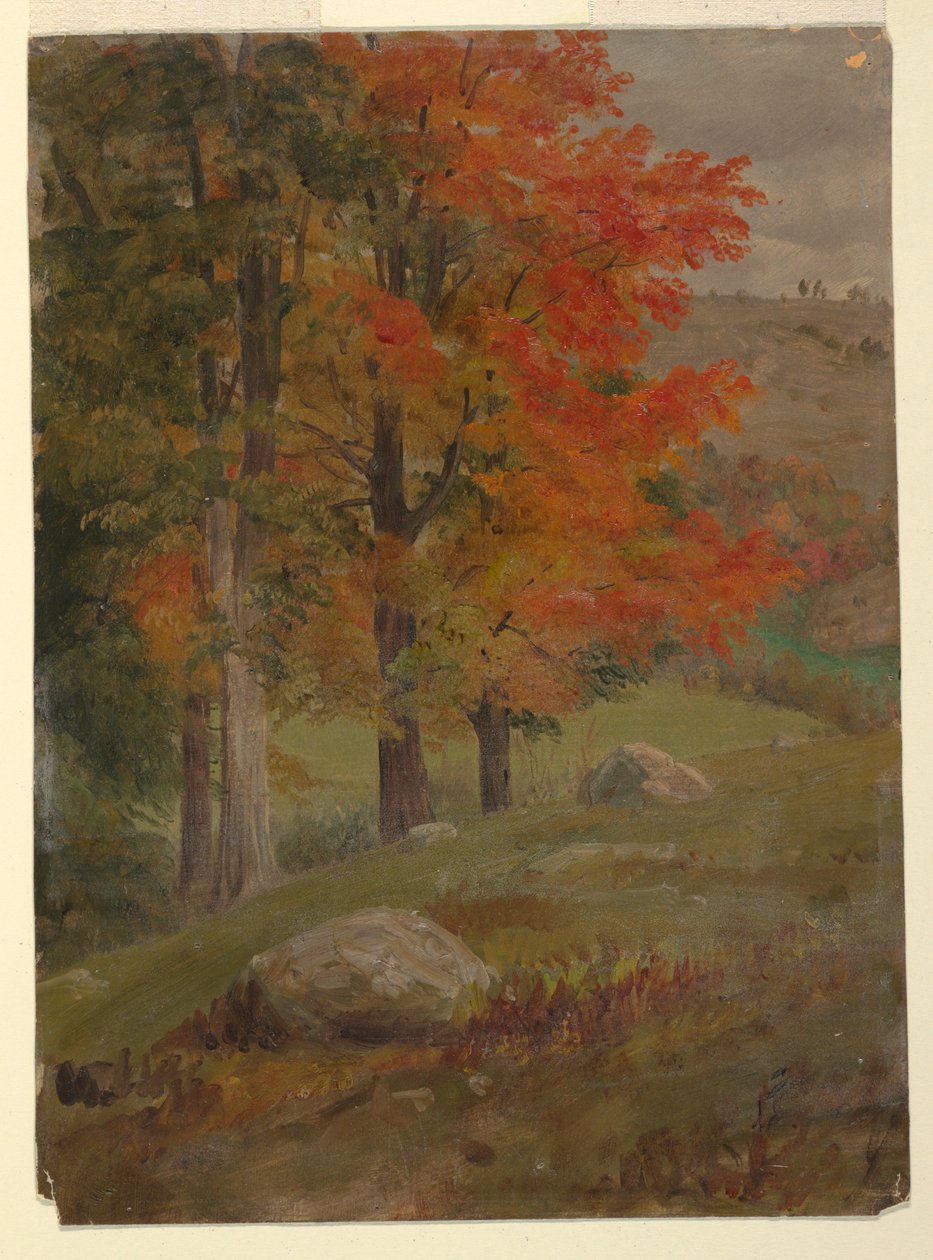 Wald im Herbst, 1865 von Frederic Edwin Church