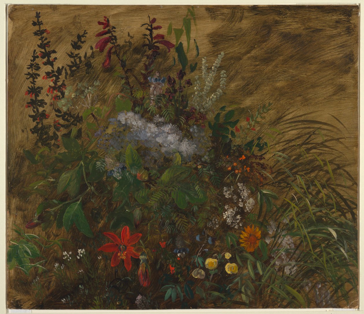 Blumen in Jamaika von Frederic Edwin Church
