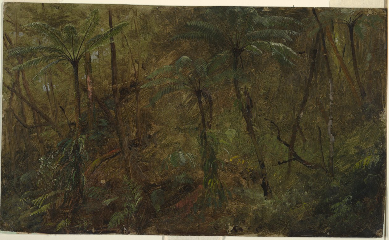 Im Wald, Jamaika von Frederic Edwin Church