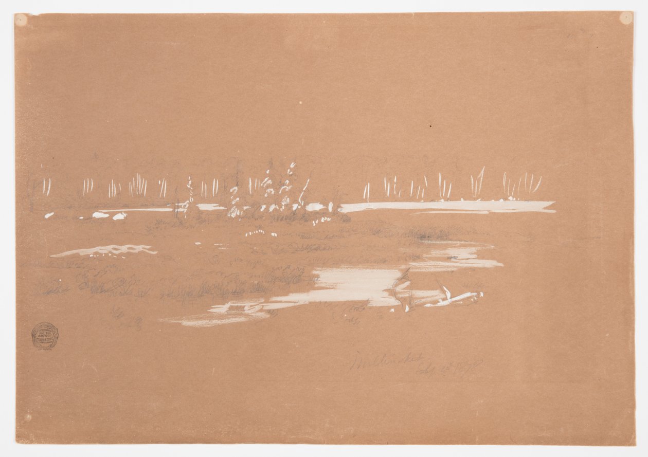 Sumpfige Landschaft bei Millinocket, Maine von Frederic Edwin Church