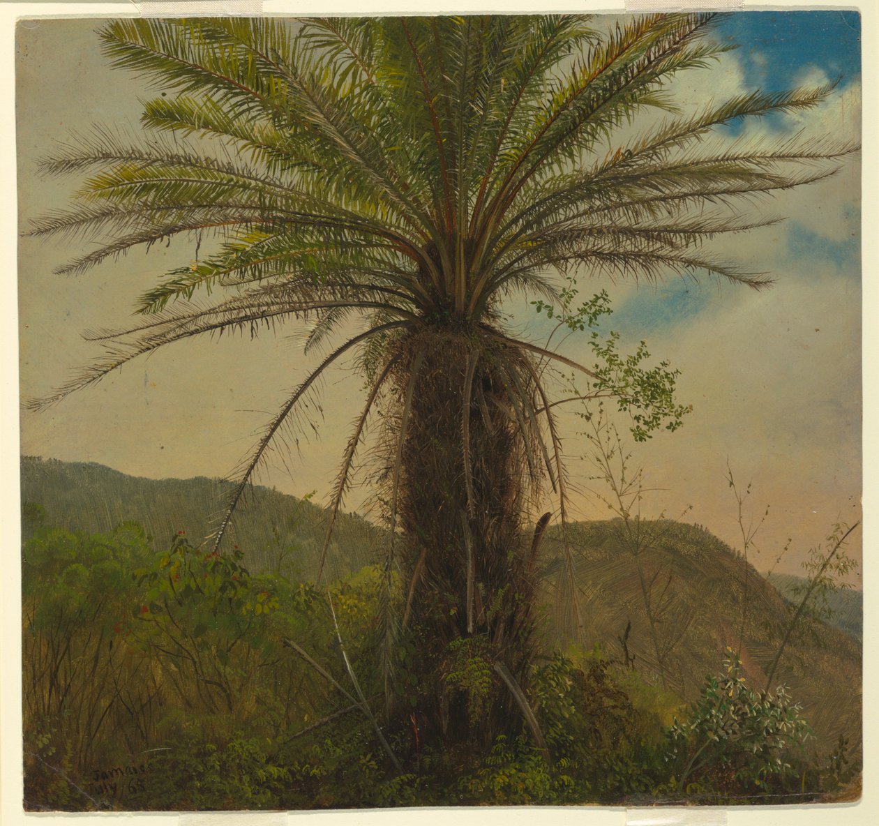 Baumfarn, Jamaika von Frederic Edwin Church