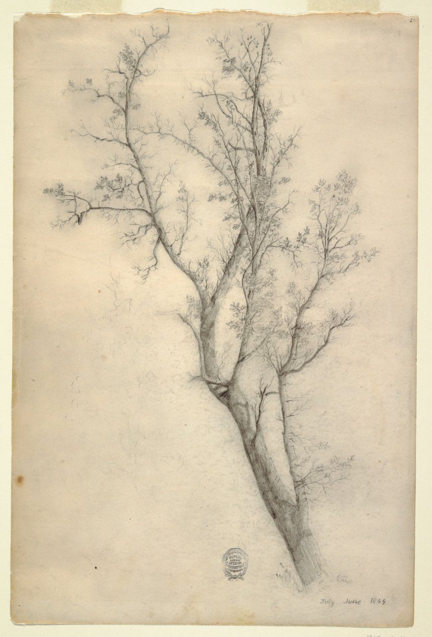 Baum mit vielen Ästen von Frederic Edwin Church