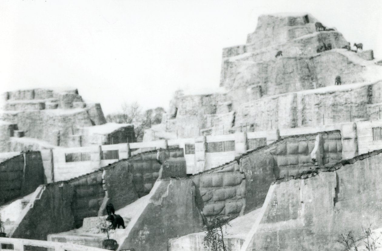 Die Mappin-Terrassen, Londoner Zoo, 1922 von Frederick William Bond