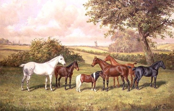 Eine Gruppe von Ponys von Frederick Albert Clark