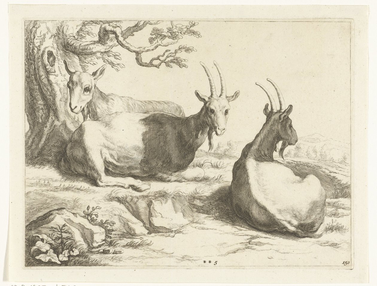 Ziegen (Serie: Das Zeichenbuch von Abraham Bloemaert) von Frederick Bloemaert
