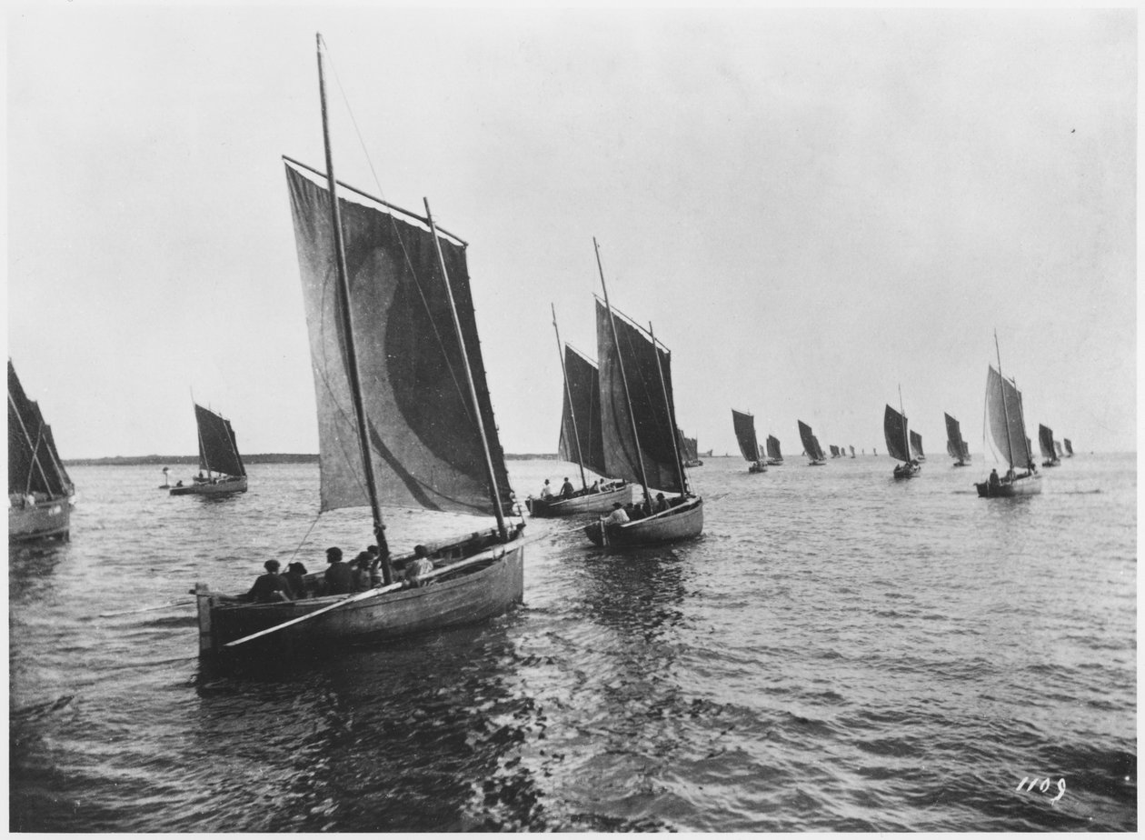 Sardinenboote von Concarneau von French Photographer