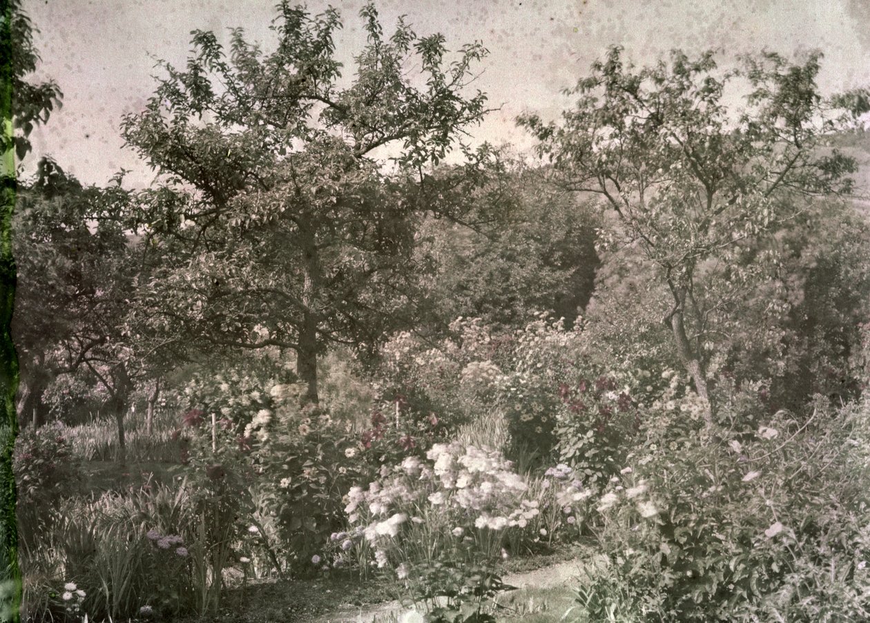 Ansicht von Giverny, Monets Garten, frühe 1920er von French Photographer