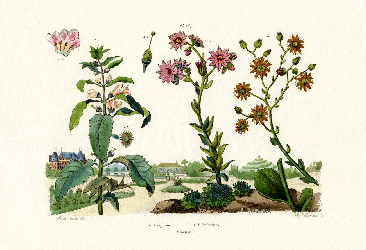 Blutsteine von French School