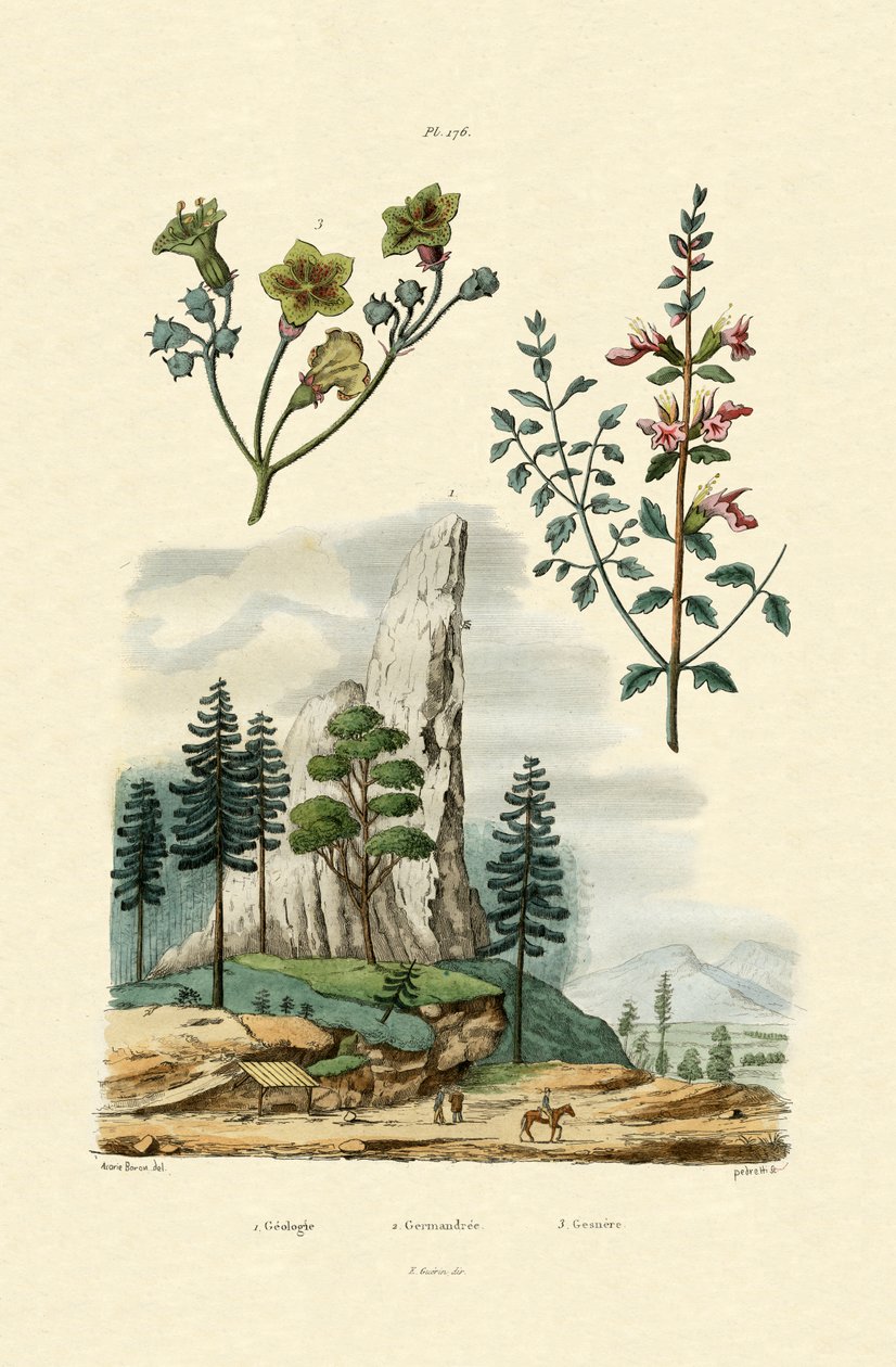 Geologie von French School