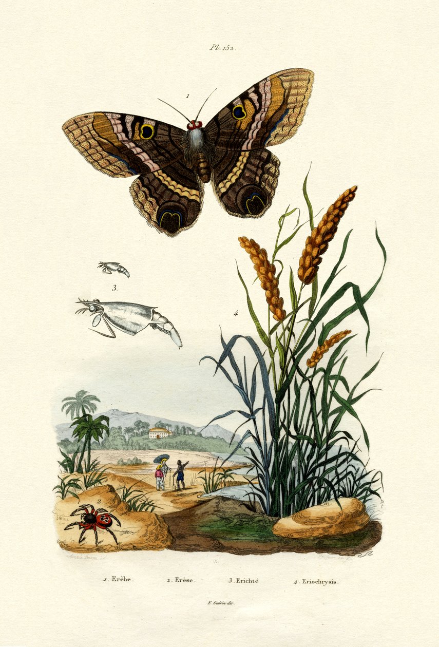 Schornsteinfeger von French School