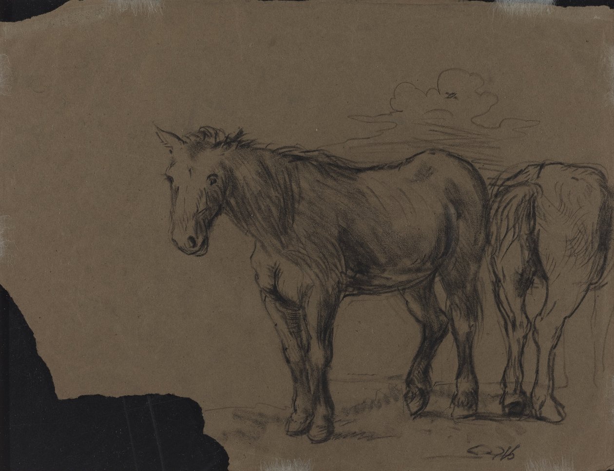Pferde von French 19th Century