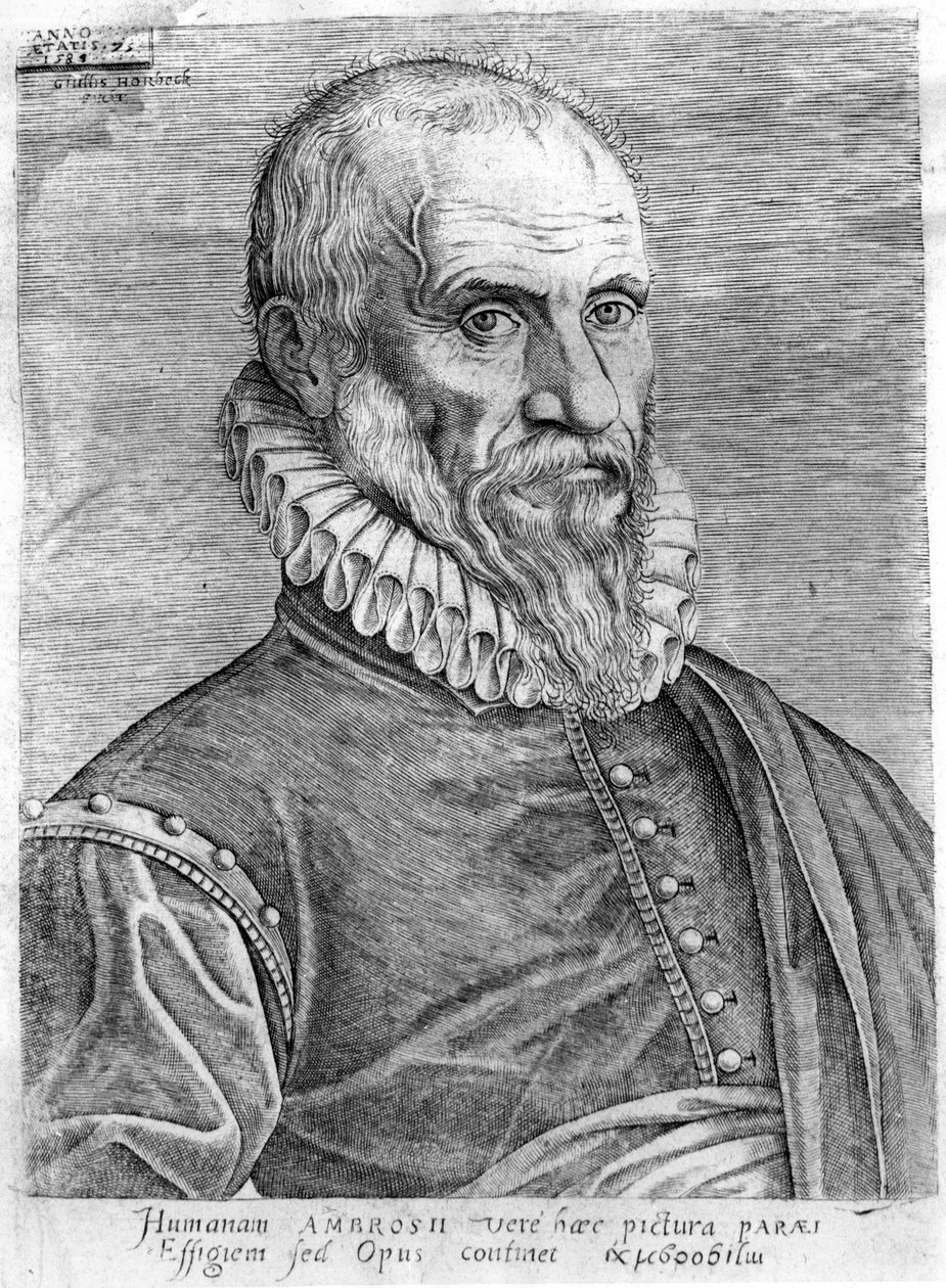 Ambroise Paré (1509-1590) von French School