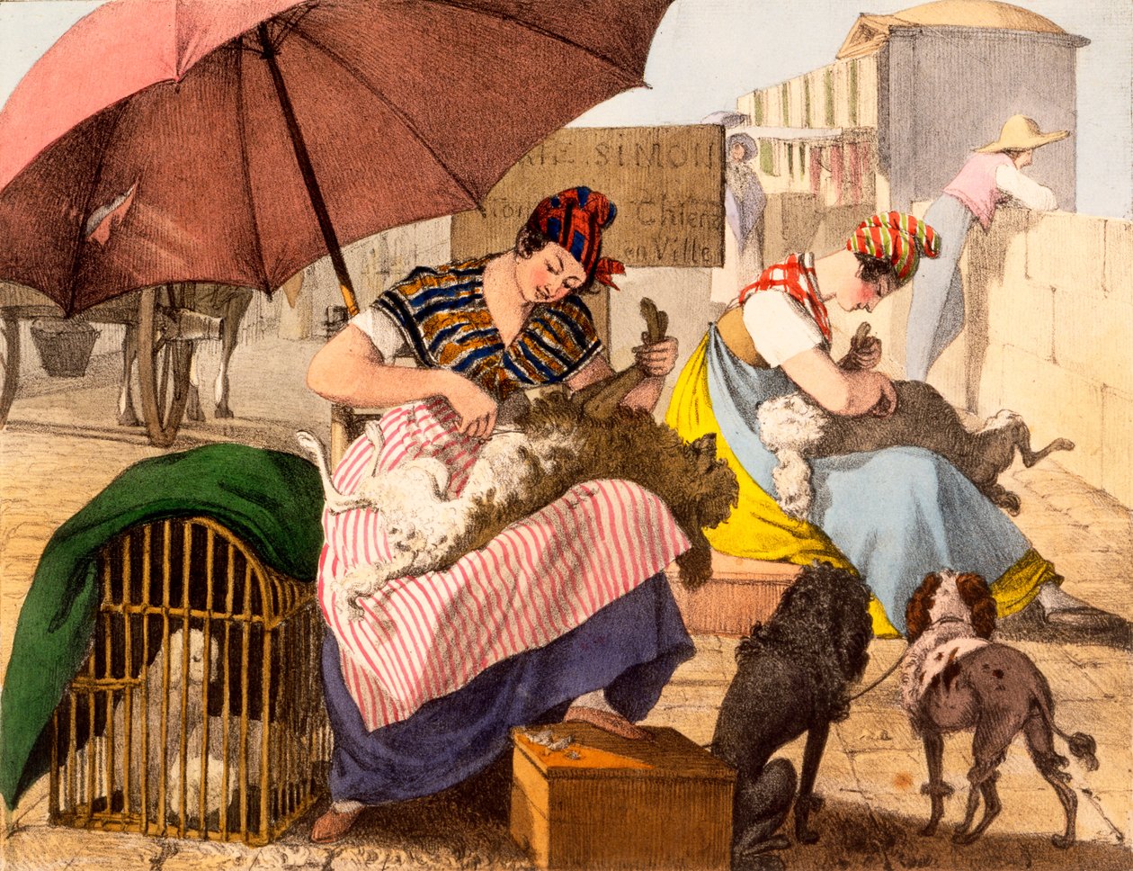 Hundepfleger, 1820 von French School