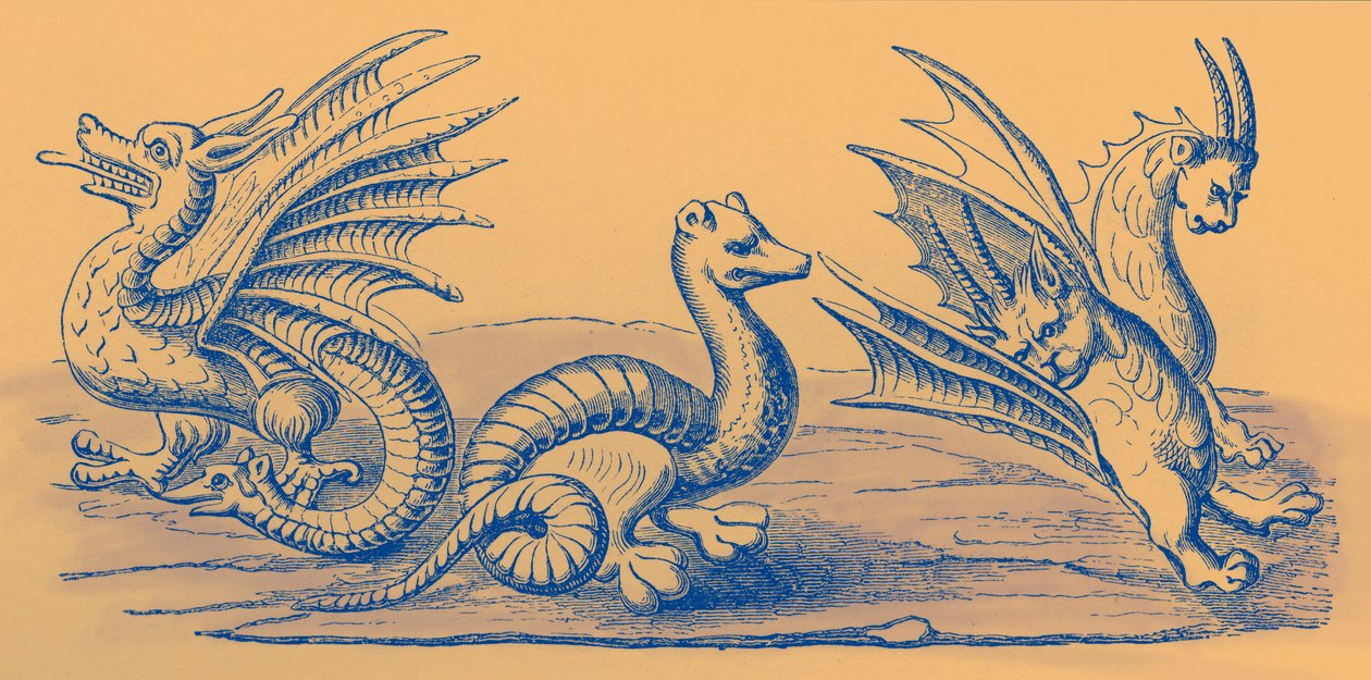 Drachen von French School