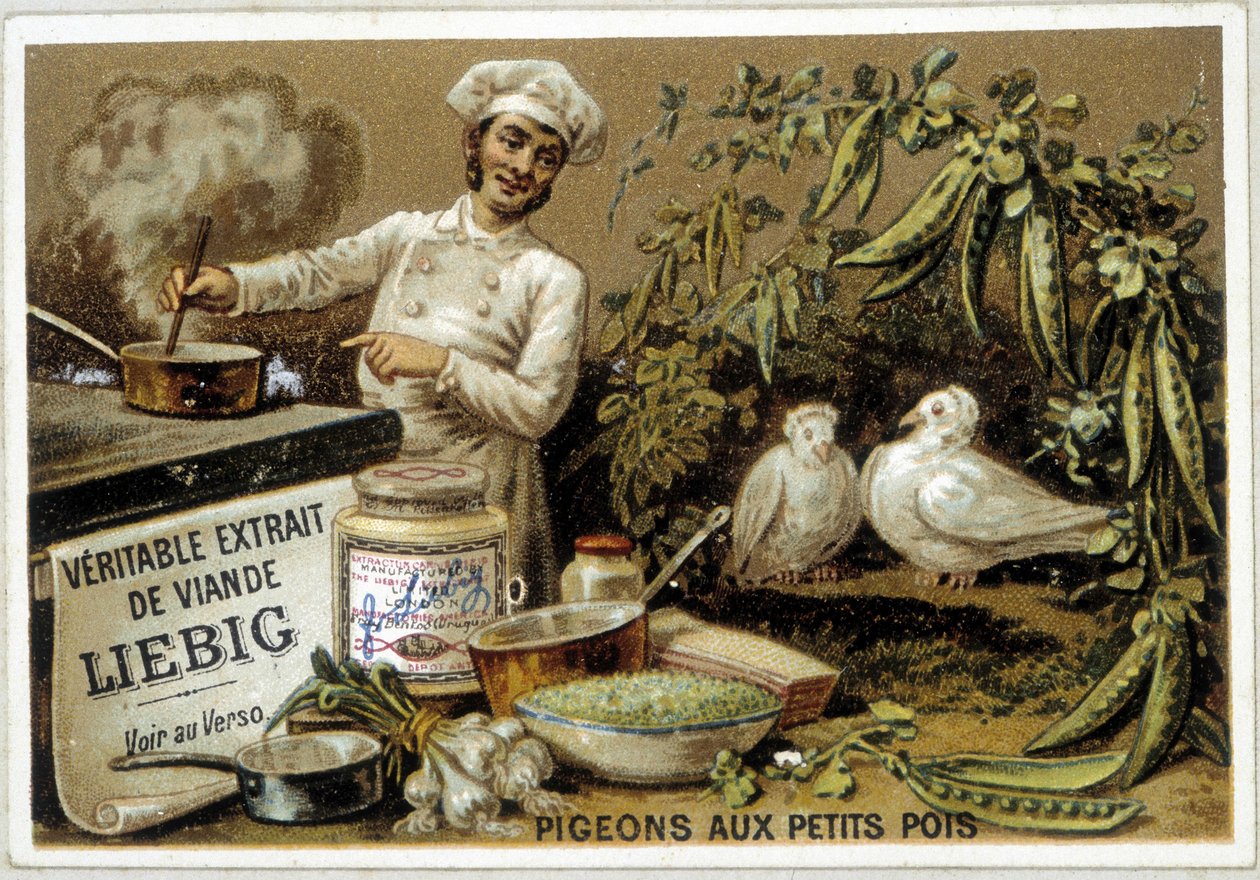 Liebig Rezepte: Tauben mit Erbsen von French School