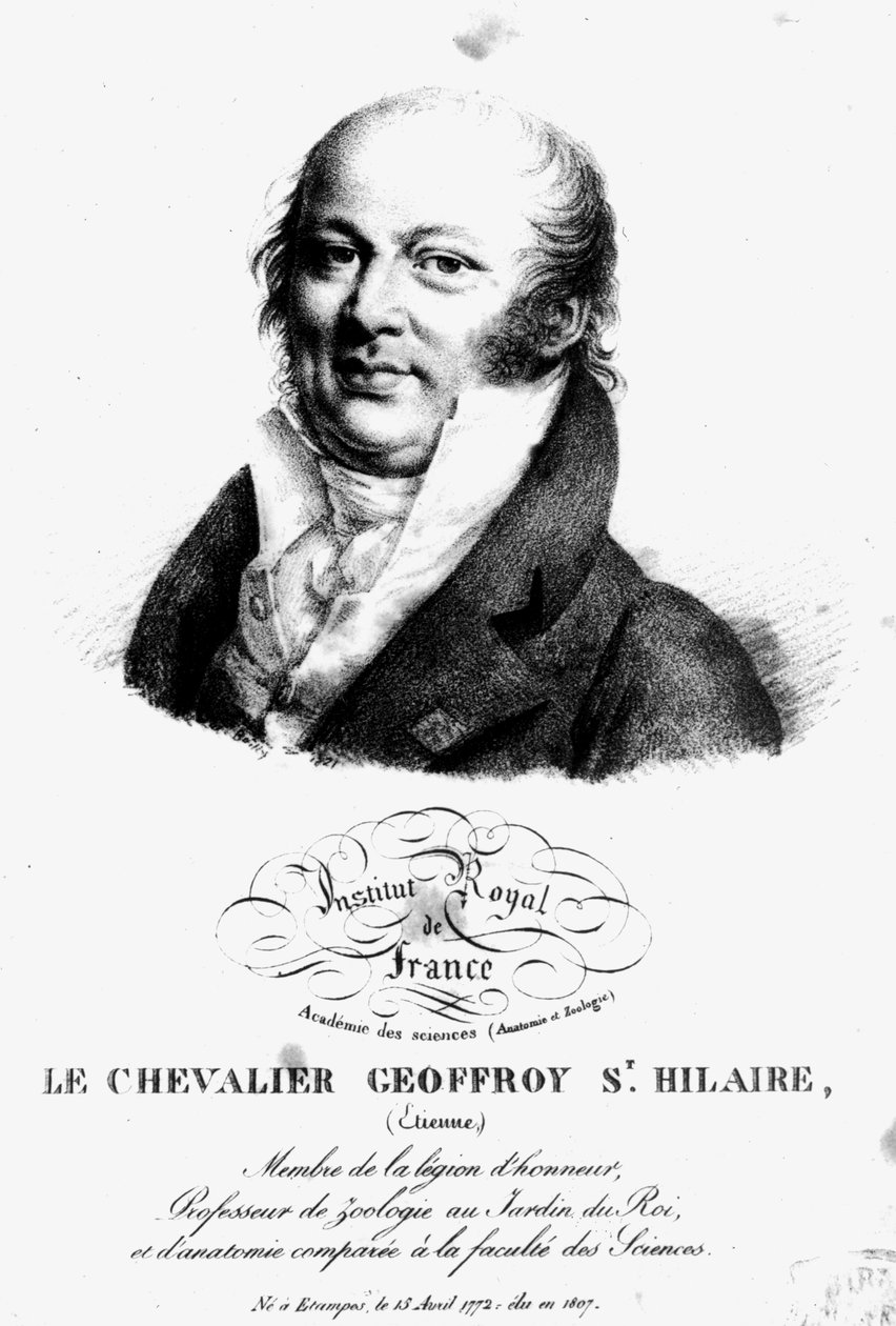 Porträt von Etienne Geoffroy Saint-Hilaire (1722-1844) von French School