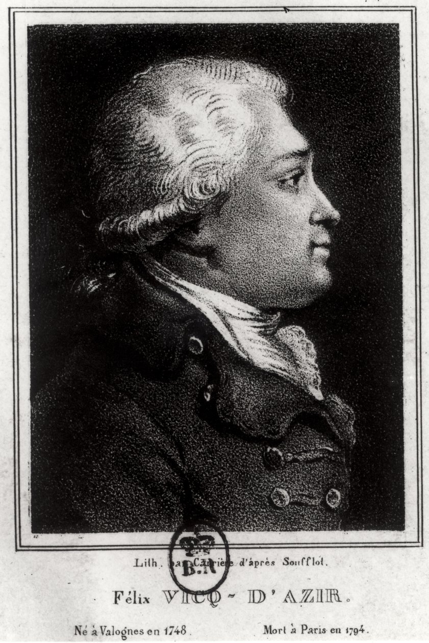 Porträt von Felix Vicq d
