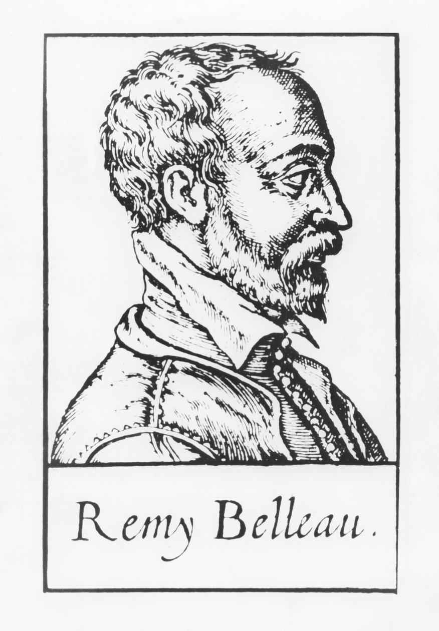 Remy Belleau (Stich) von French School