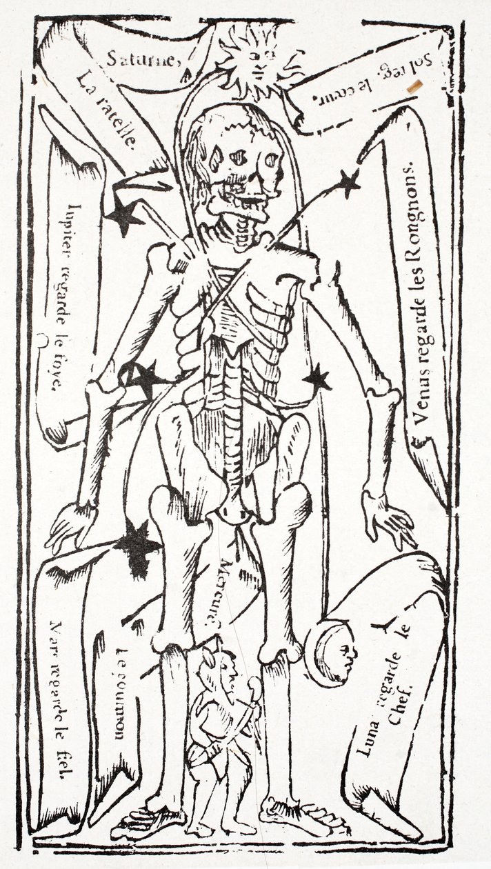 Skelett mit Tierkreiszeichen von French School
