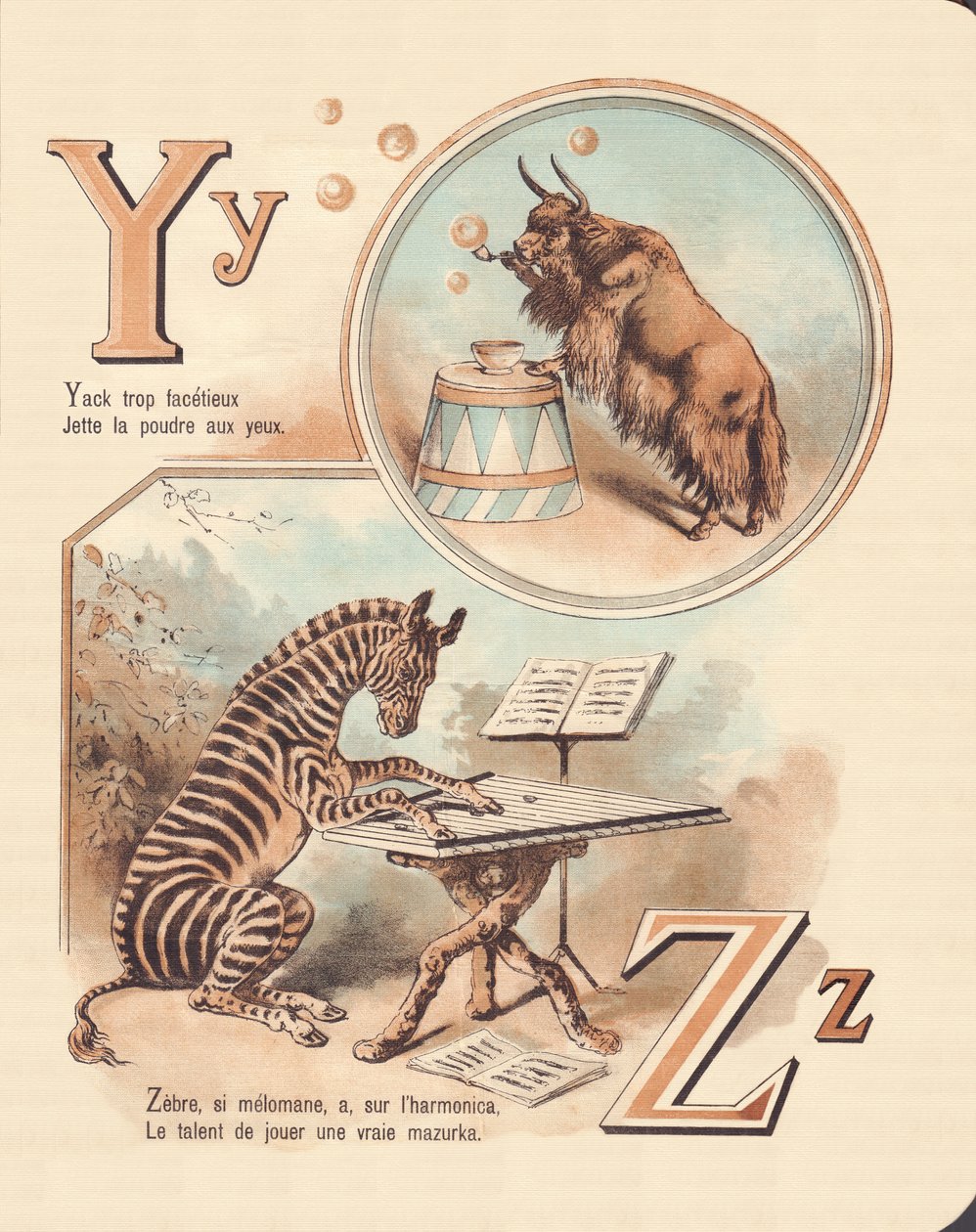 Y Z: Yak, Zebra von French School