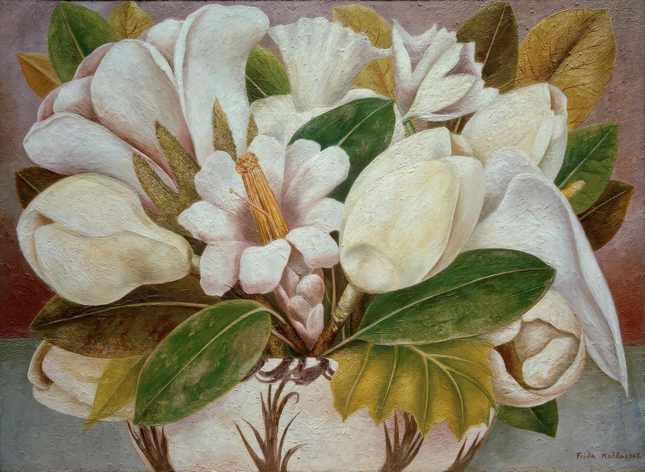 Magnolie von Frida Kahlo