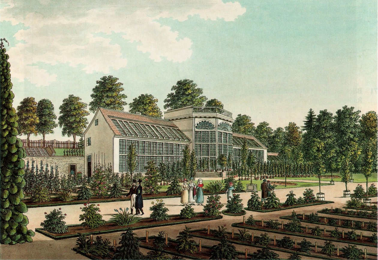Treibhaus im alten botanischen Garten in Göttingen, im Hintergrund der Stadtwall von Friedrich Besemann