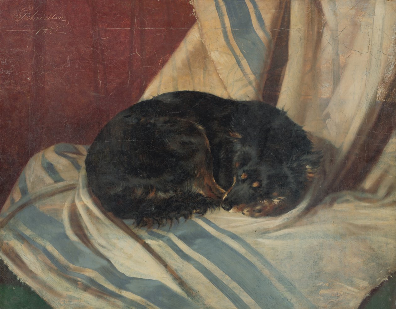 Studie eines liegenden Hundes von Friedrich Carl von Scheidlin