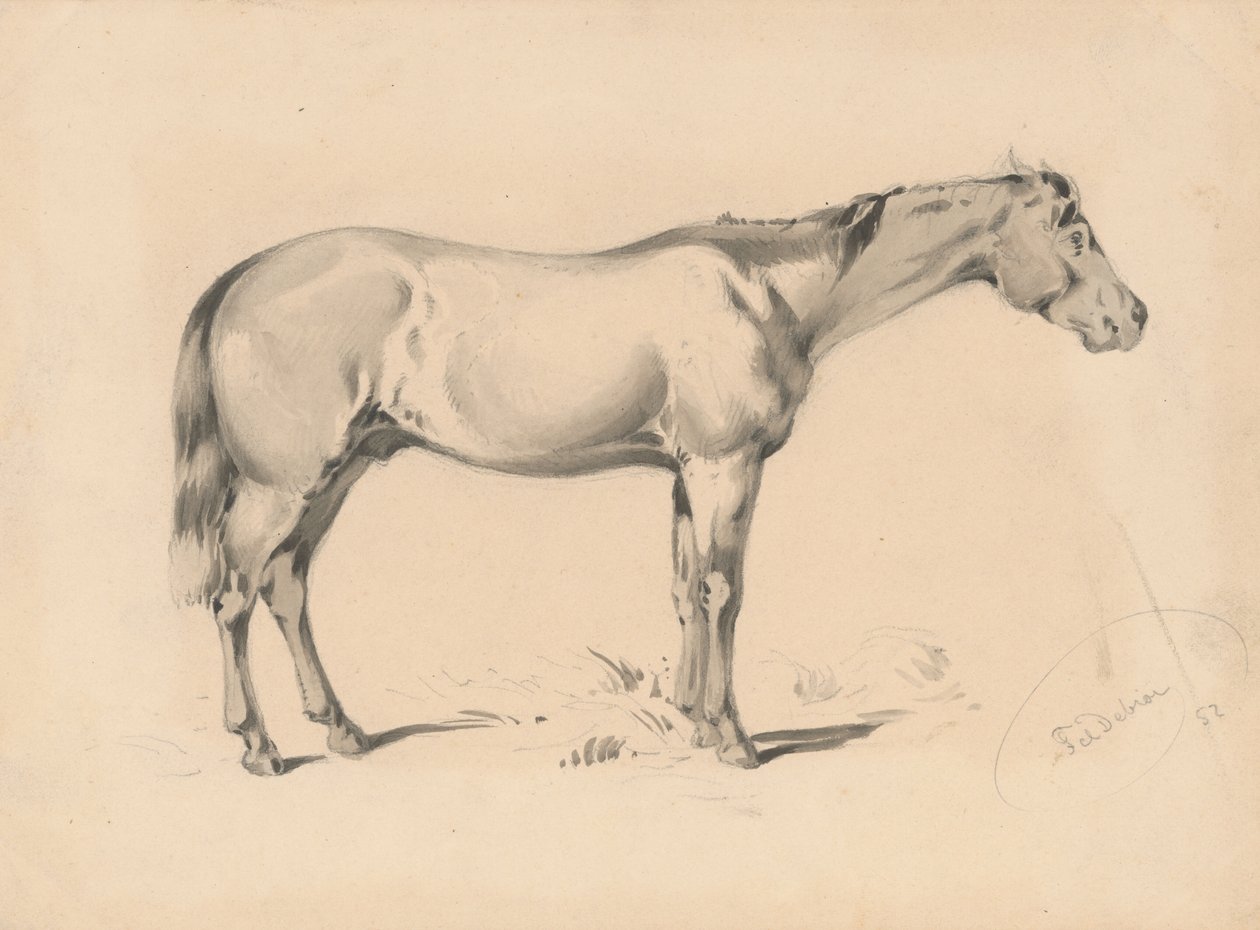 Studie eines Pferdes I von Friedrich Carl von Scheidlin