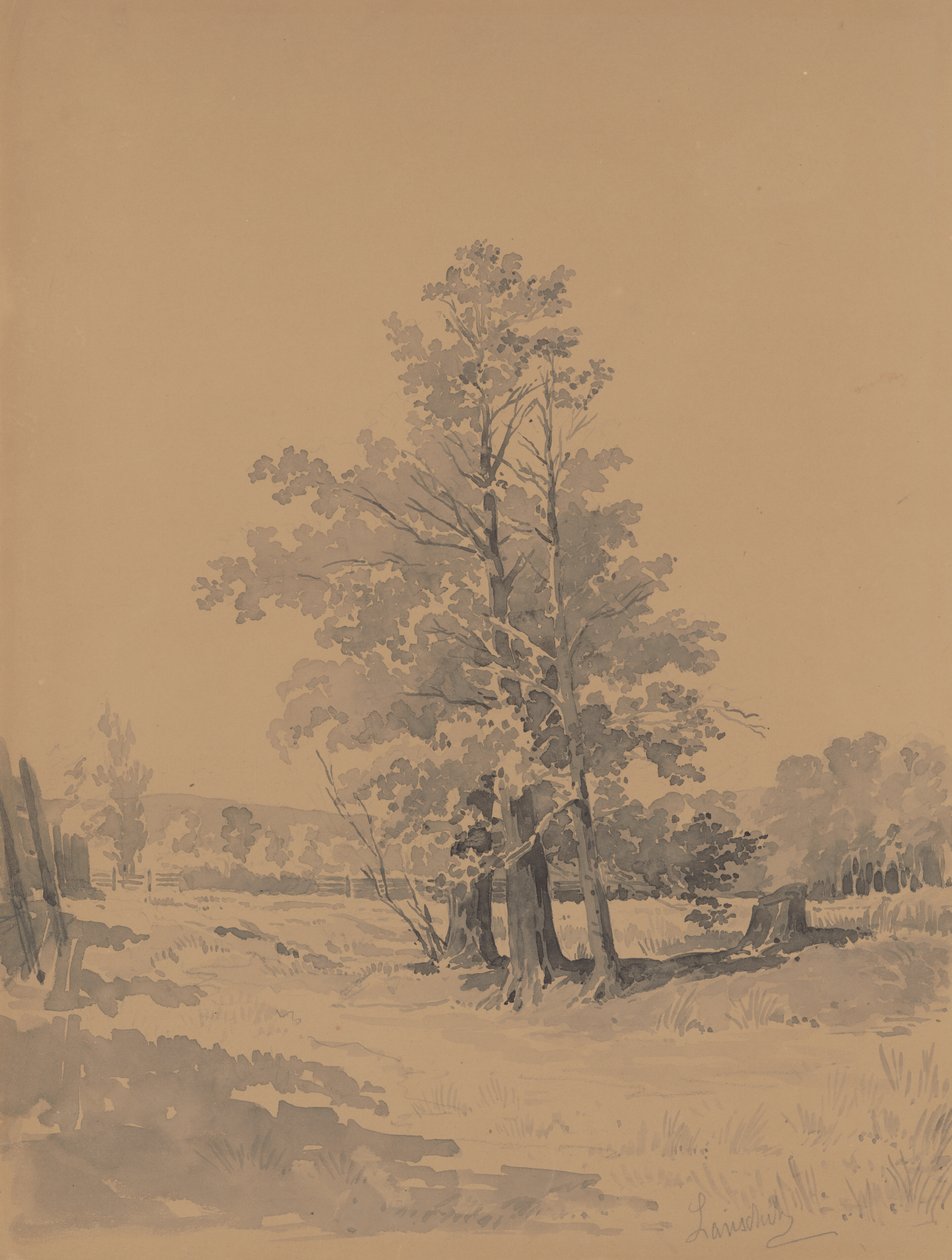 Bäume am Waldrand von Friedrich Carl von Scheidlin