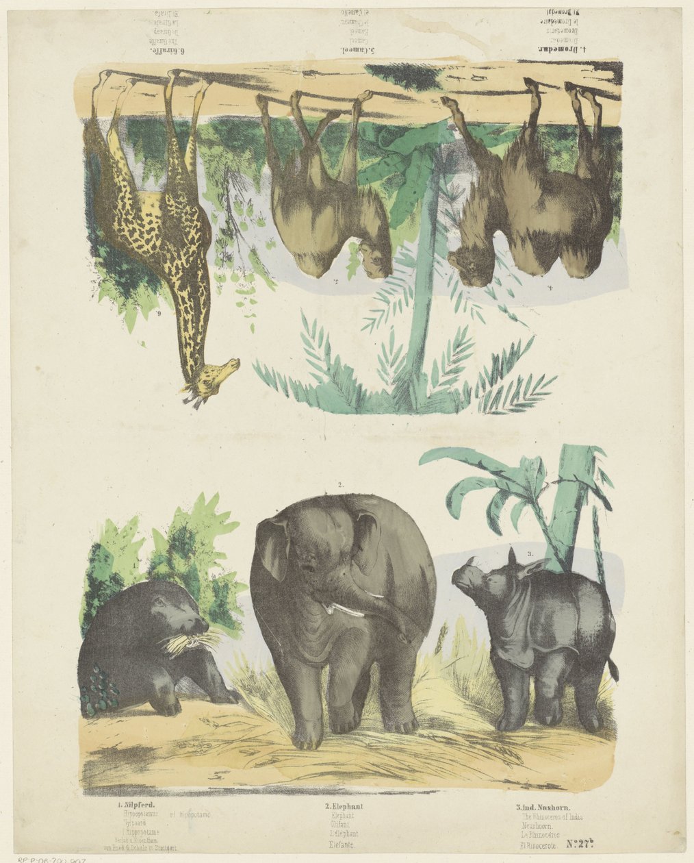 Wilde Tiere von Friedrich Gustav Schulz