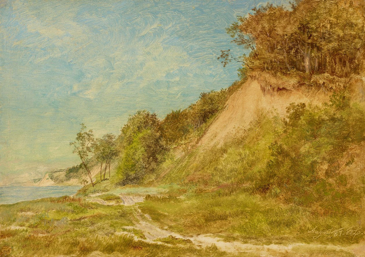 Dünenstrand an der Ostsee von Friedrich Loos